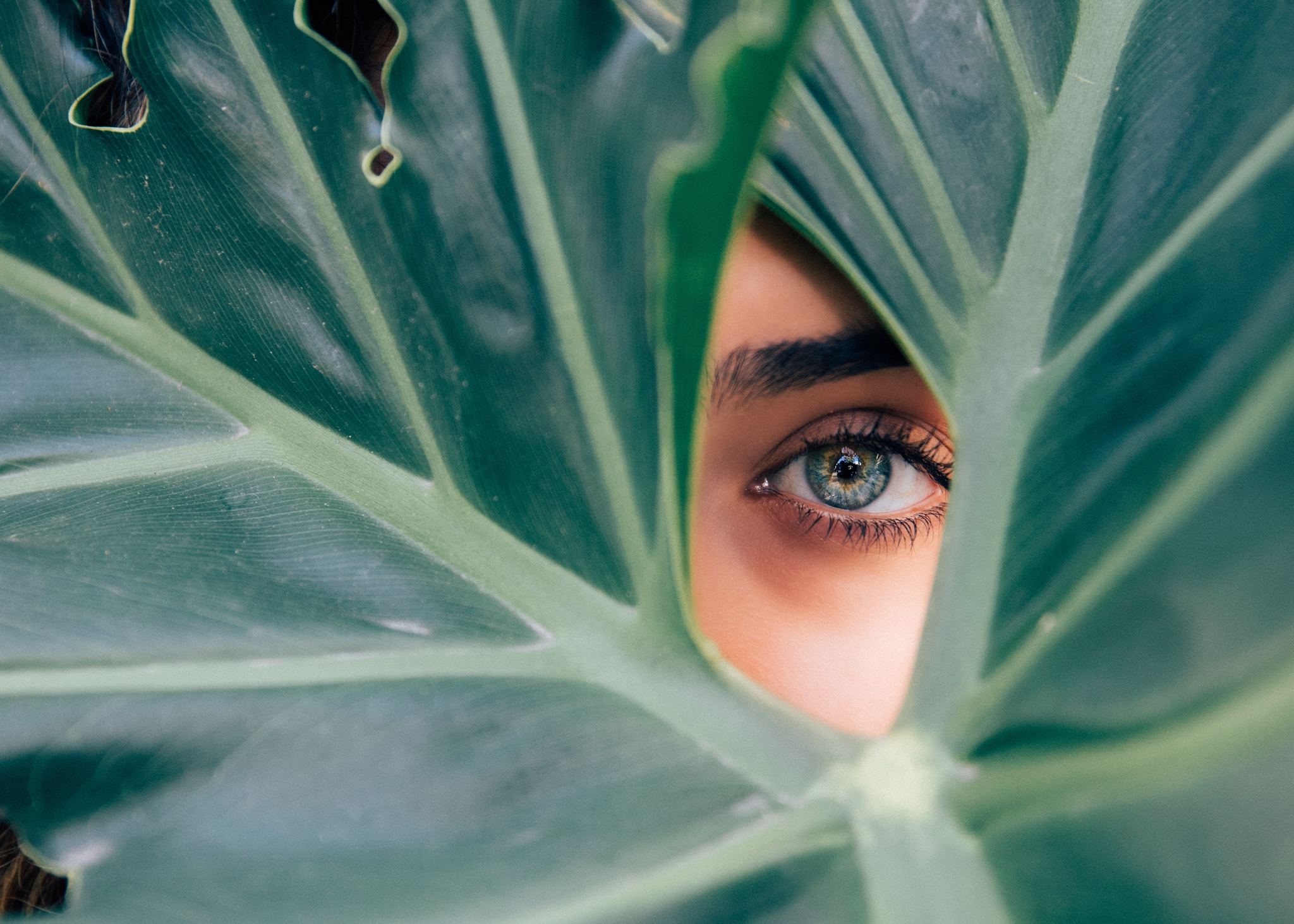 lash tint leaf lash tint leaf