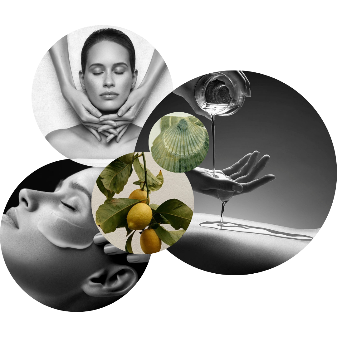 Untitled design (23)